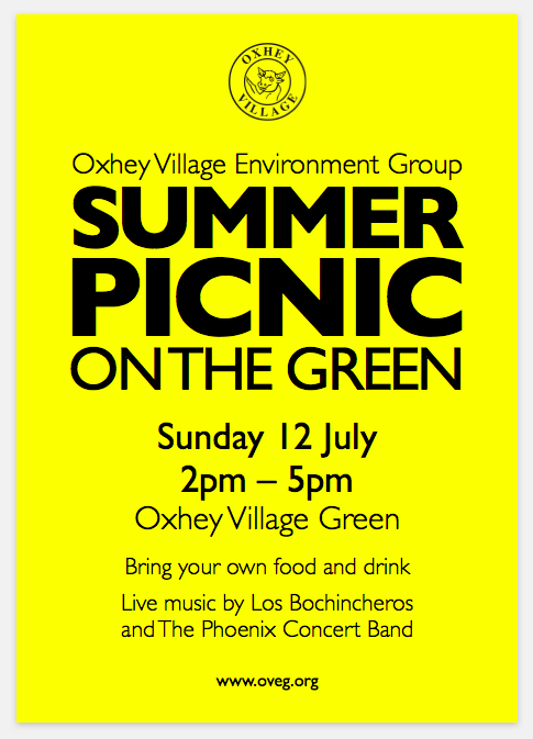 Picnic on the Green 2014