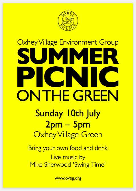 Picnic on the Green 2016