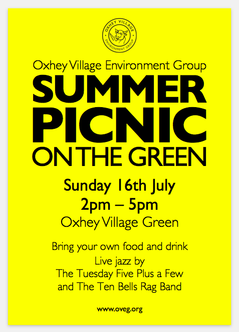 Picnic on the Green 2017