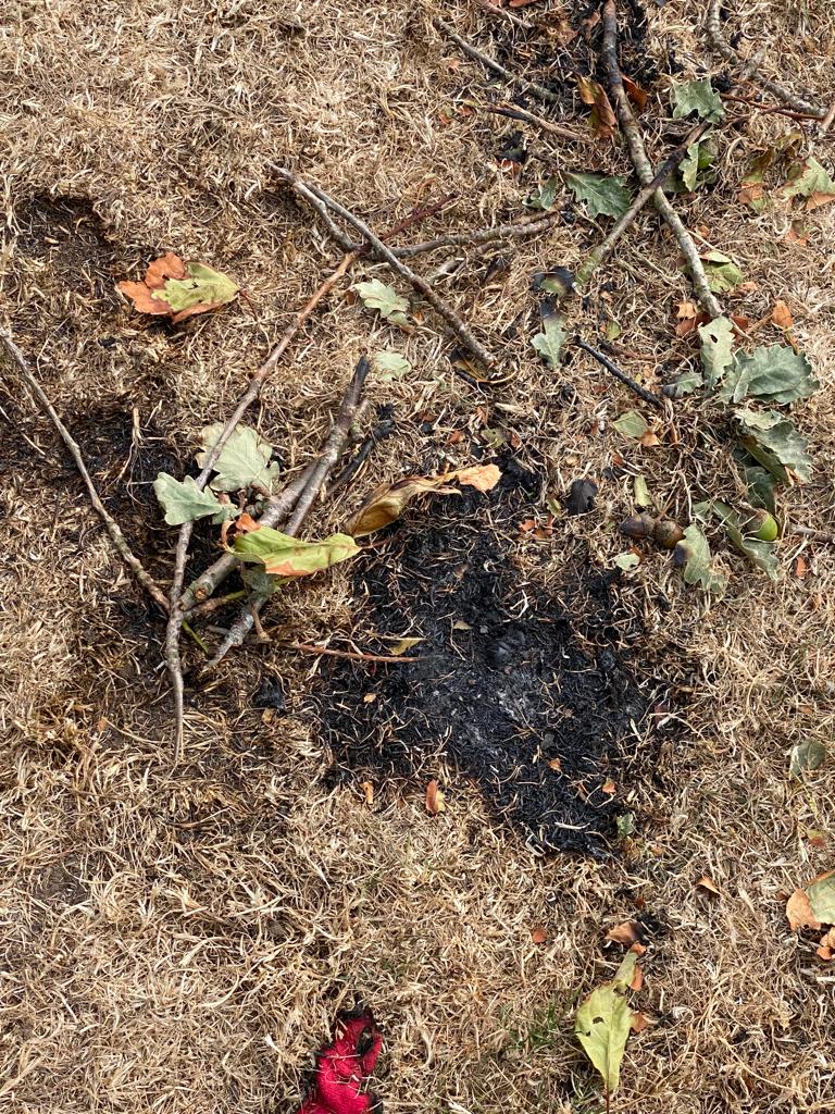 Fire risks from disposable BBQs