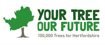 Claim a free tree through ‘Your Tree Our Future’