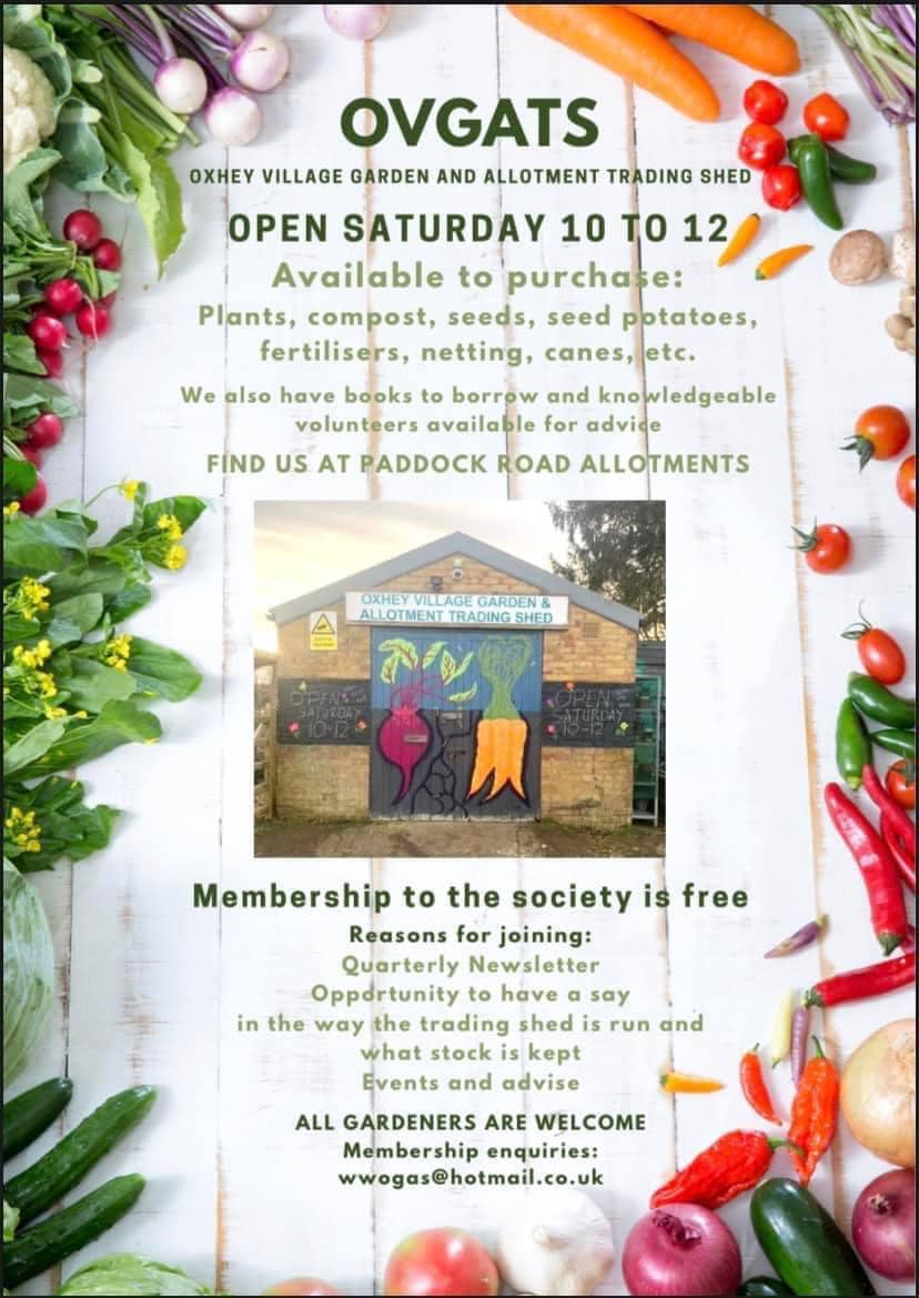 Allotment trading shed open for spring