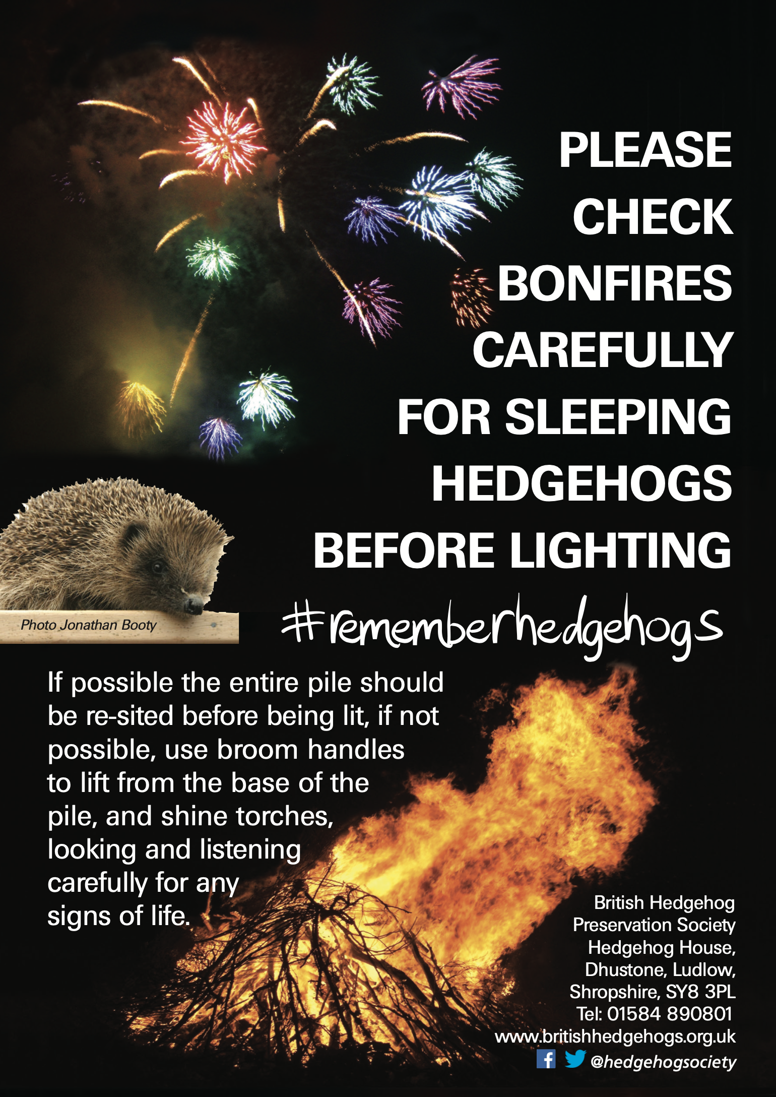 A poster from the British Hedgehog Preservation Society reminding people to check for hedgehogs on Bonfire Night