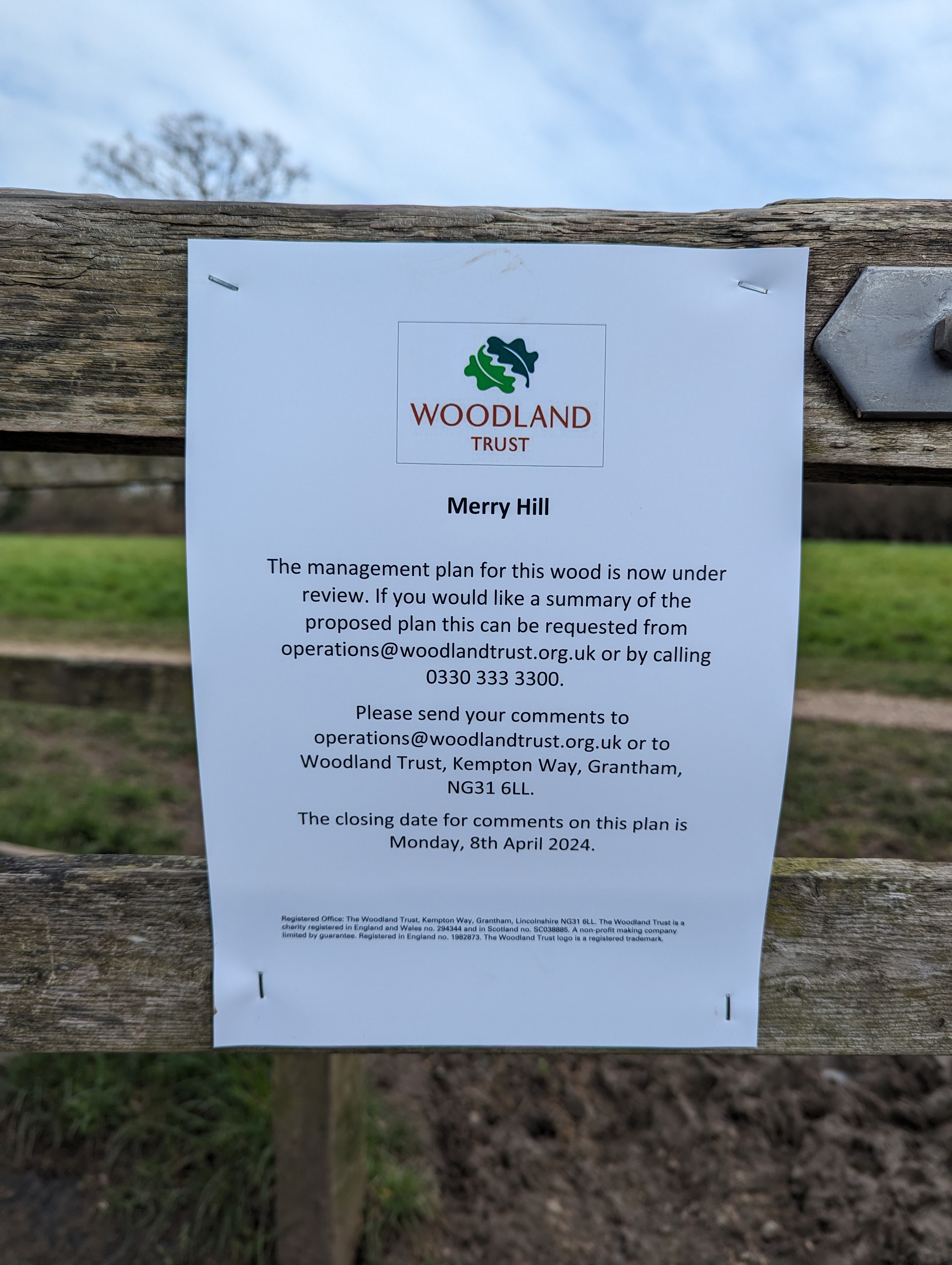 Woodland Trust to review Merry Hill plan