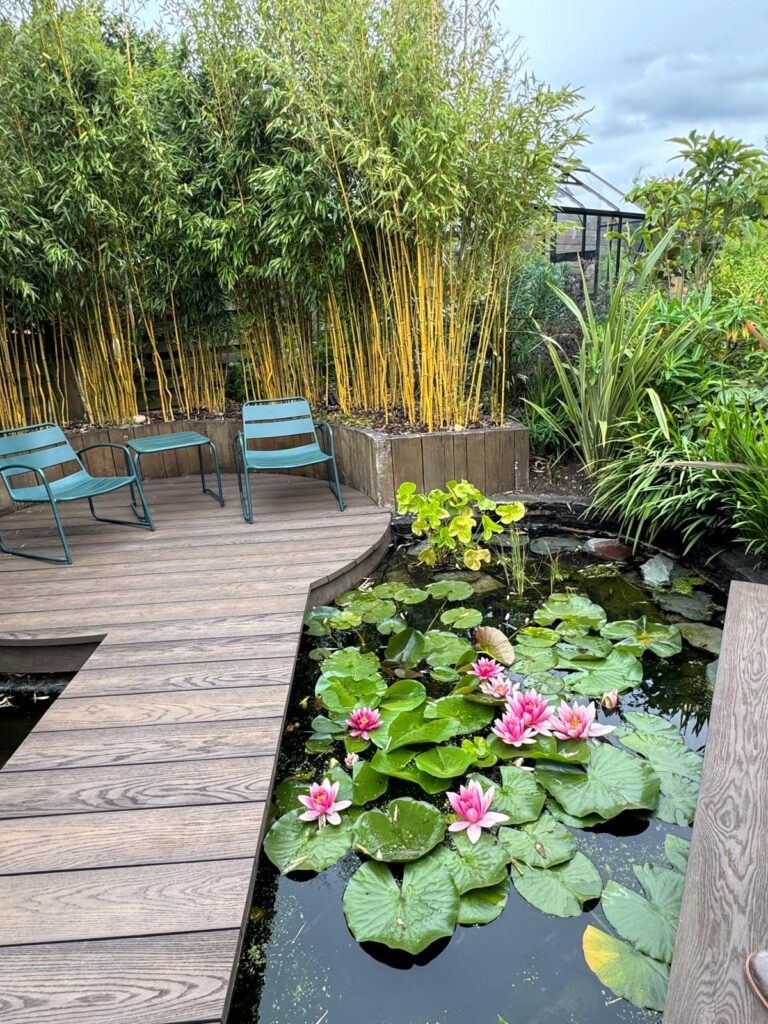 A view of a garden at Oxhey Open Gardens 2025 in Watford