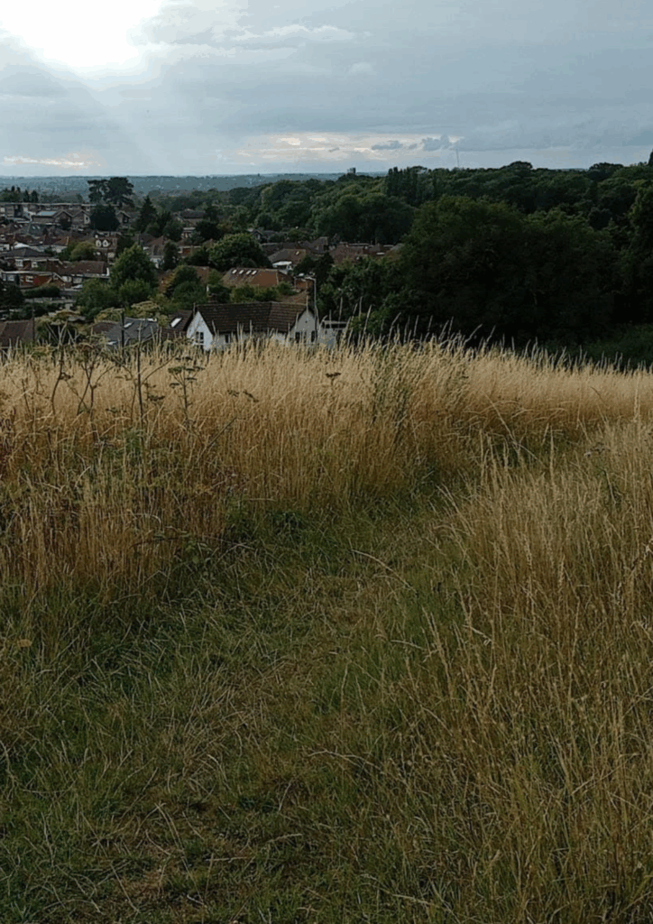 Oxhey Lane planning applications near Watford