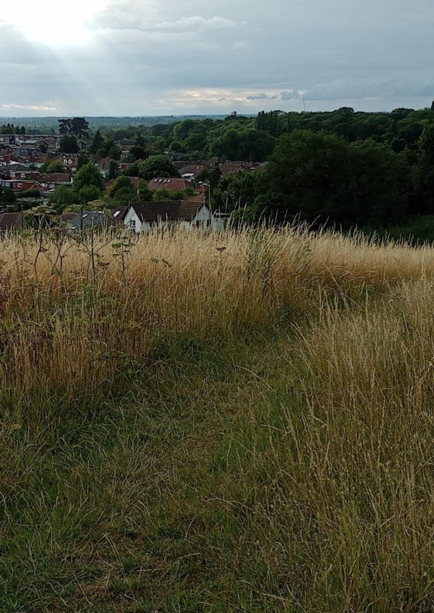 Oxhey Lane development will destroy green belt