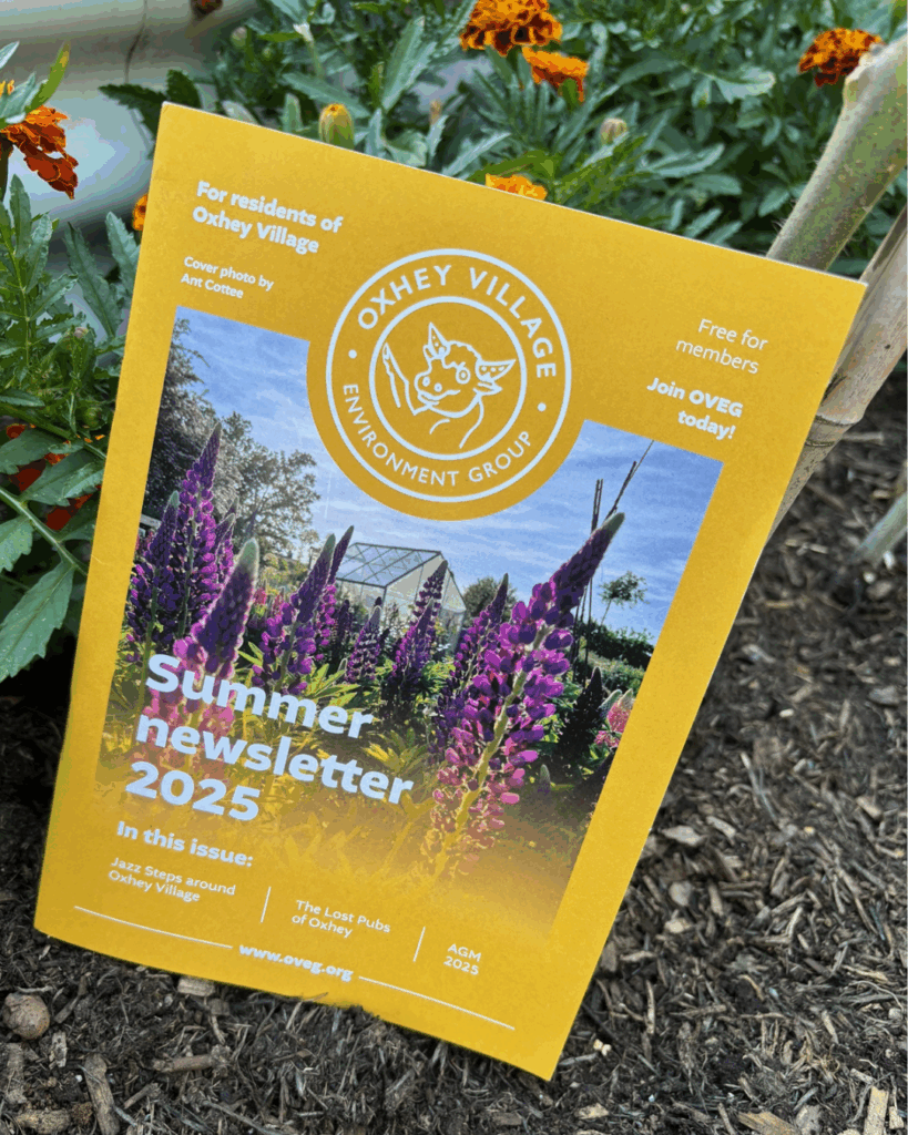 The Oxhey Village Environment Group summer 2025 magazine