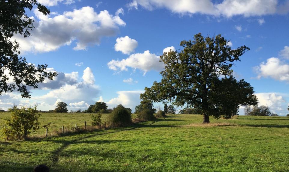 Green belt land subject to a planning application in Bushey Hertfordshire