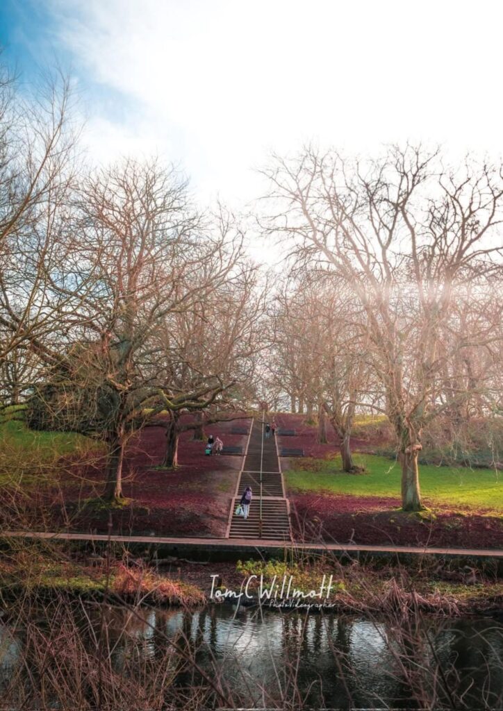 A photo of Oxhey Park near Watford by Tom Willmott