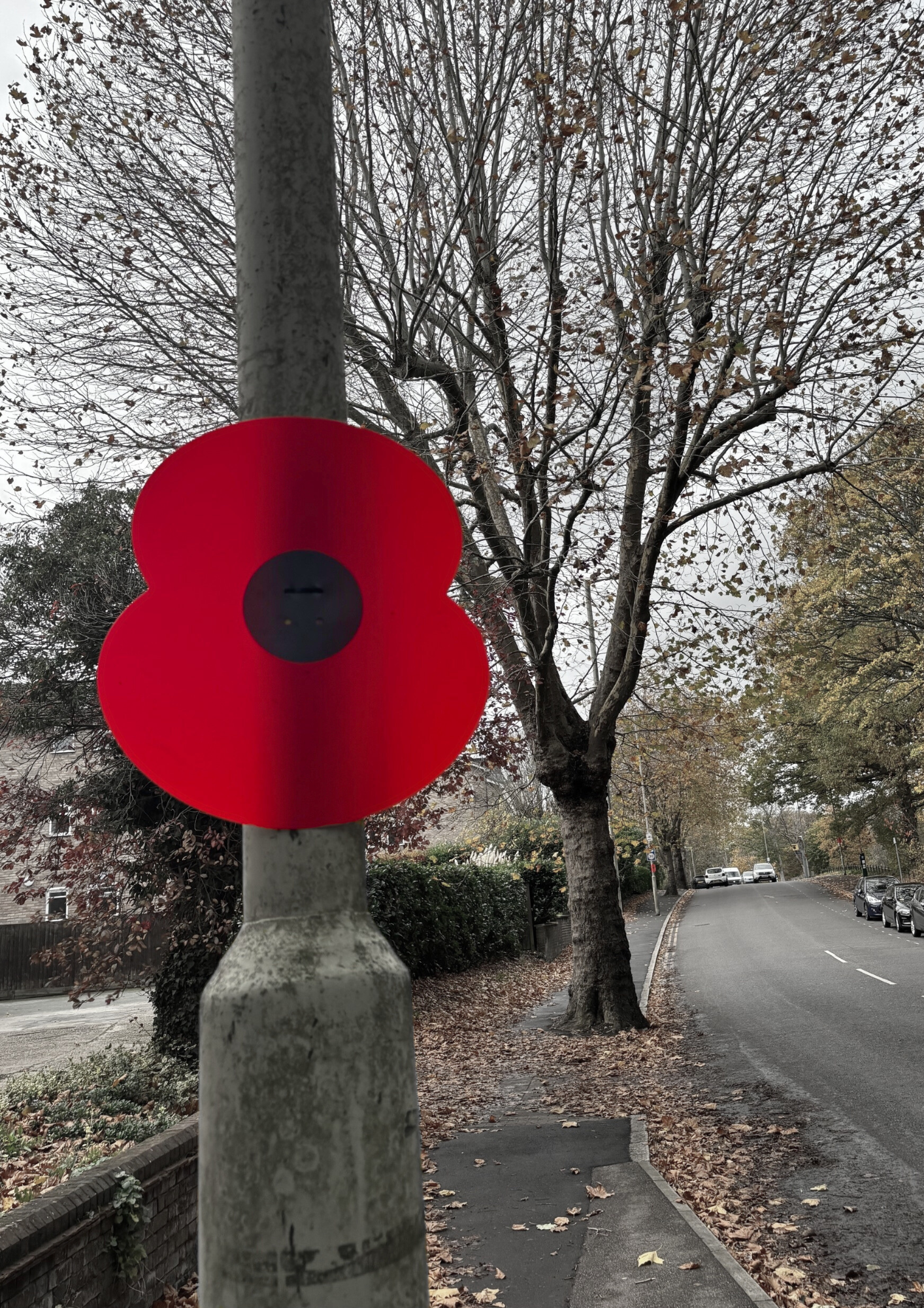 This Sunday: Remembrance Day in Oxhey Village