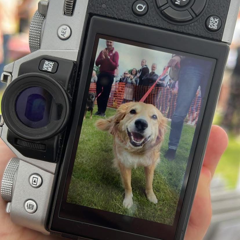 A camera taking a photo of a dog at the Oxhey Village Summer Fayre 2026