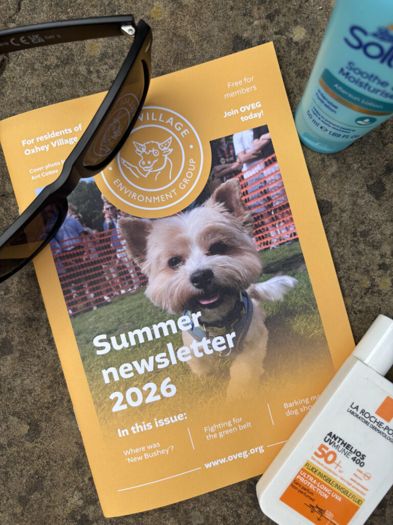 The cover of OVEG's summer 2026 newsletter with sunglasses and a bottle of sun cream